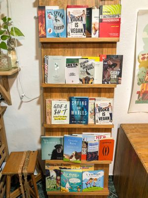 Vegan book heaven at Casa Animal Antiespecista in Playa Del Carmen
