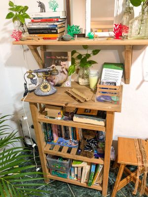 So many fun activities for community members  at Casa Animal Antiespecista in Playa Del Carmen