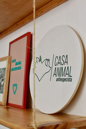 Vegan community center  at Casa Animal Antiespecista in Playa Del Carmen
