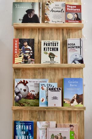 Library for reading clubs every Friday  at Casa Animal Antiespecista in Playa Del Carmen