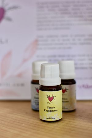 Vegan and cruelty free products for sale to raise funds to pay for rent, light and water bill  at Casa Animal Antiespecista in Playa Del Carmen