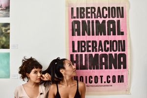 Animal liberation / human liberation  at Casa Animal Antiespecista in Playa Del Carmen