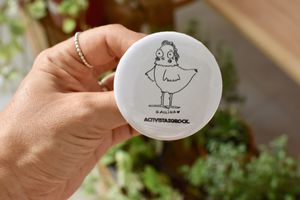 Pins for sale  at Casa Animal Antiespecista in Playa Del Carmen