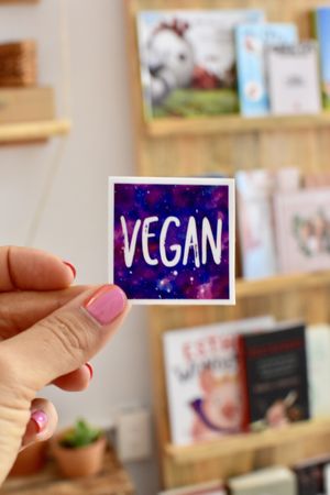 Stickers for sale  at Casa Animal Antiespecista in Playa Del Carmen