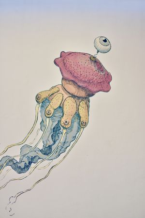 Jellyfish in our walls  at Casa Animal Antiespecista in Playa Del Carmen