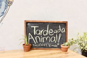 Event at Casa Animal Antiespecista in Playa Del Carmen