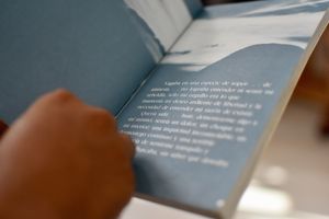Books at Casa Animal Antiespecista in Playa Del Carmen