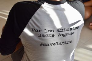 Save movement at Casa Animal Antiespecista in Playa Del Carmen