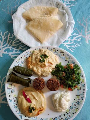 Just half of what comes in the Teta Tizer. My husband and I split it as our meal. at Teta's Grill in Flushing