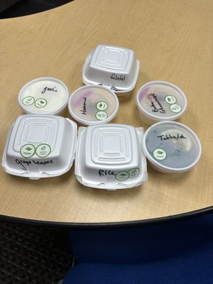 Teta tizer to go plus rice  at Teta's Grill in Flushing