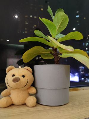  at Minf Houze Vegan Cafe in Kuala Lumpur