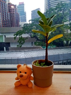  at Minf Houze Vegan Cafe in Kuala Lumpur