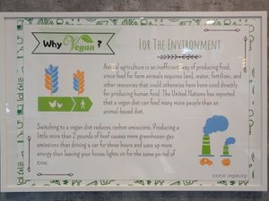  at Minf Houze Vegan Cafe in Kuala Lumpur