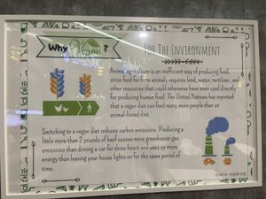   at Minf Houze Vegan Cafe in Kuala Lumpur