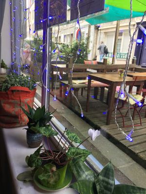 View from indoors at La Cigale Voyageuse in Granville