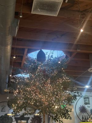   at Real Food Daily in West Hollywood