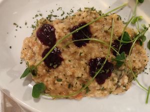 Barley at To Patrikon in Larnaca