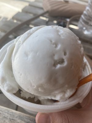 Coconut ice cream   at The Revolution Ice Cream in Tampa