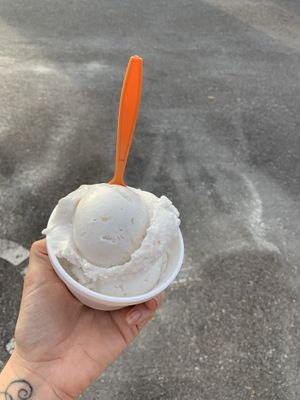 Vegan toasted coconut ice cream at The Revolution Ice Cream in Tampa