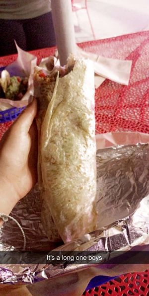 Vegan burrito  at Poppo's Taqueria in St Petersburg