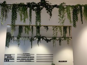 Sweet decor at Buster Green in Dunedin