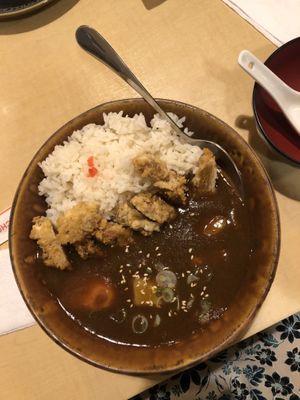 Curry with sunfed chicken ! at The Jitsu in Dunedin