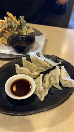   at The Jitsu in Dunedin