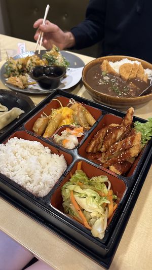   at The Jitsu in Dunedin