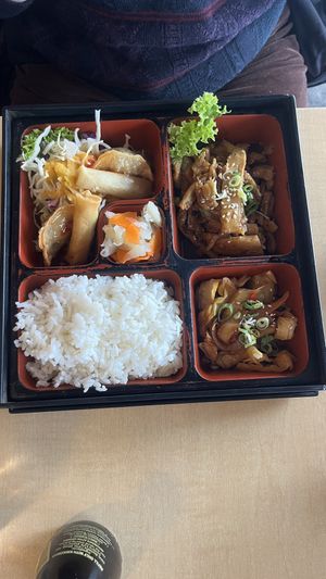 Vegan meat bento box  at The Jitsu in Dunedin