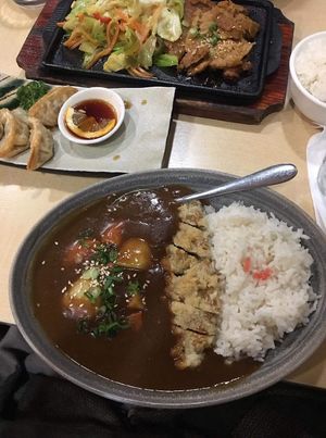 Katsu vegan meat curry and vegan dumplings  at The Jitsu in Dunedin