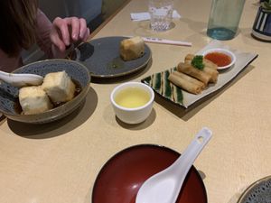 Kariyage Tofu and Vegan spring rolls at The Jitsu in Dunedin