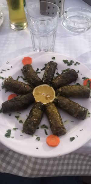 Les japraks (feuilles de vignes farcies) at Antigoni in Berat