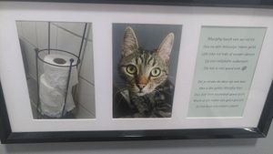 Murphy isn't allowed to be in the human toilets, because he loves to play with the toilet paper at The Coffee Cat in Almere