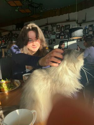  at The Coffee Cat in Almere