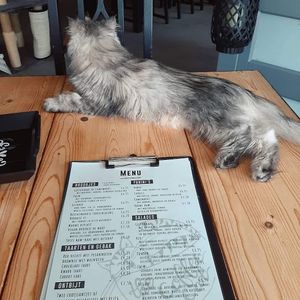 The menu at The Coffee Cat in Almere
