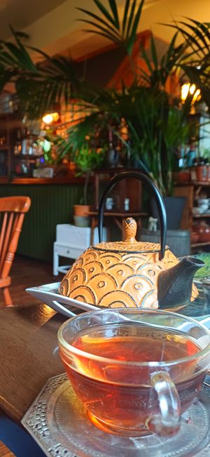  at The Sondes Tea House & General Stores in Faversham