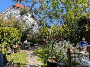 Garden at The Sondes Tea House & General Stores in Faversham