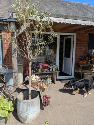 Shop entrance at The Sondes Tea House & General Stores in Faversham