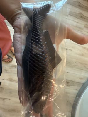Giant vegan chocolate fish bar  at Grocer's Daughter Chocolate in Empire