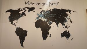 Where are you from? at Bagel Lounge  in Karlovy Vary