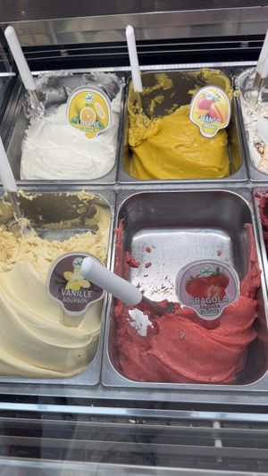 vegan Sorbets  at Gelateria Leone in Fazana