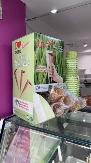 vegan & glutenfree cones by extra charge  at Gelateria Leone in Fazana