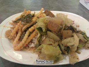 2 item combo plate.  very spicy! at Shine Tong - Vegetarian Food Booth in Bangkok