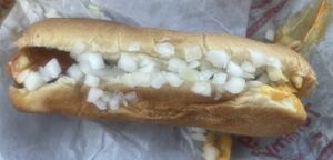 BROOKLYN BIZZY (V)  at Hot Dog Tommy's in Cape May