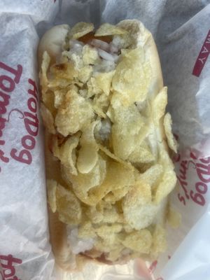 Zippy Chippy Zorro Dog  at Hot Dog Tommy's in Cape May