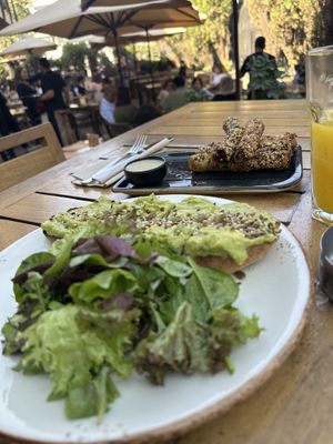 Avocado on toastt  at Blue Fig in Amman