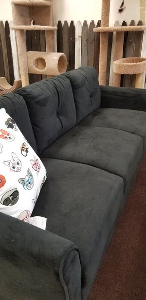 Cat area at A Kitten Kadoodle in Selden