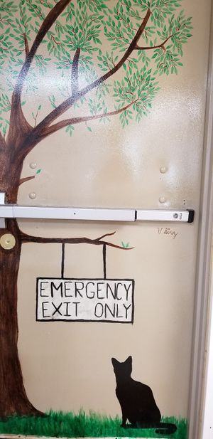 Cat area at A Kitten Kadoodle in Selden