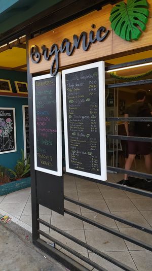 Ingreso at Organic Land in Lima