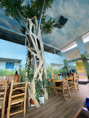 Really cute restaurant with trees inside at Morphos in Monteverde